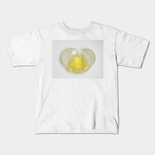 Conifer pollen grain under the microscope Kids T-Shirt